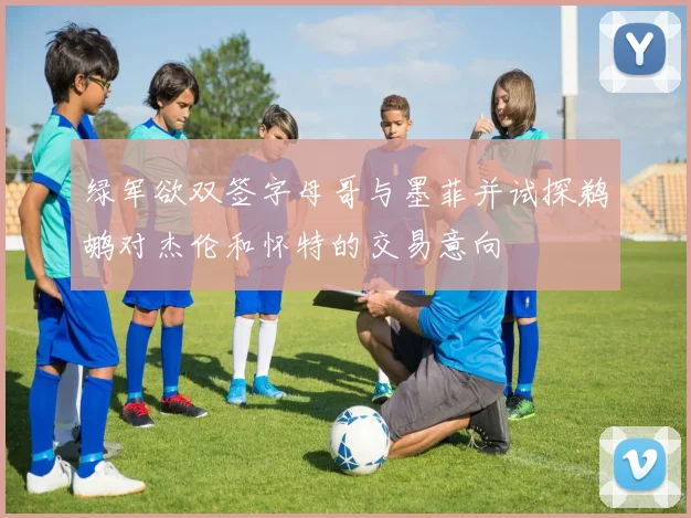 绿军欲双签字母哥与墨菲并试探鹈鹕对杰伦和怀特的交易意向