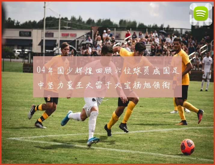 04年国少辉煌回顾六位球员成国足中坚力量王大雷于大宝杨旭领衔