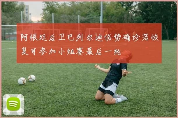 阿根廷后卫巴列尔迪伤势确诊若恢复可参加小组赛最后一轮
