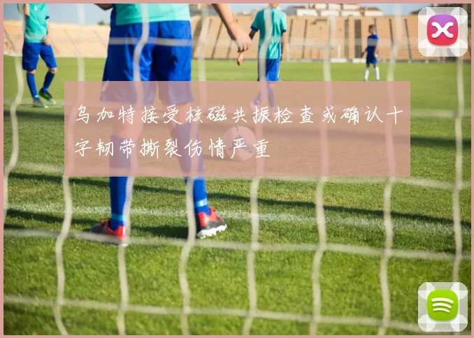 乌加特接受核磁共振检查或确认十字韧带撕裂伤情严重